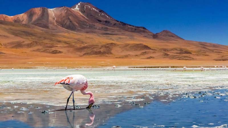 https://www.mandaley.fr/wp-content//plus-beaux-deserts-du-monde-atacama.jpg
