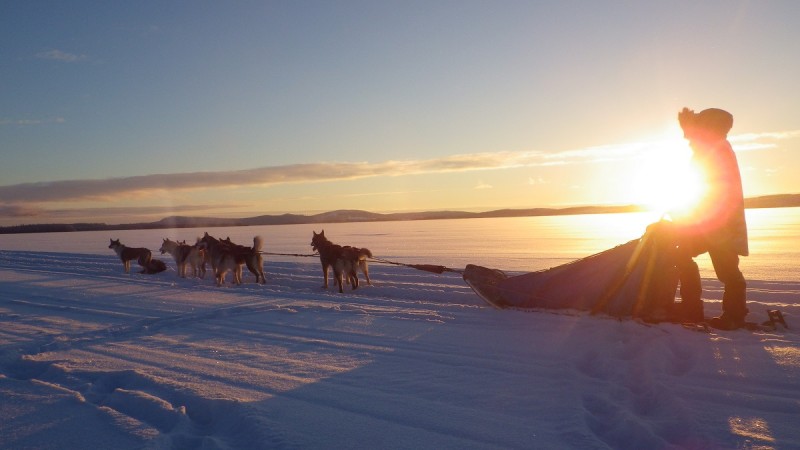 https://www.mandaley.fr/wp-content//chiens-traneau-laponie-sled-dogs-lapland-Wilderness-Latitude-29-1399628161.jpg