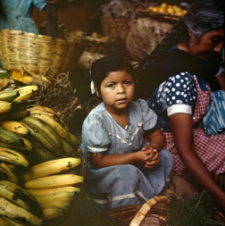 A child sitting next to baskets and bananas