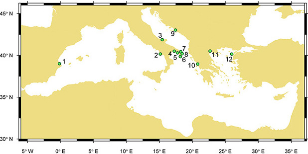 An individual-based dataset of carbon and nitrogen isotopic data of Callinectes sapidus in invaded Mediterranean waters