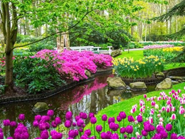 Treasures of Holland ft. Floriade & Keukenhof by Ferry