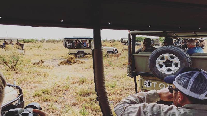 https://www.mandaley.fr/wp-content//2019/05/voyage-au-botswana-safari.jpg
