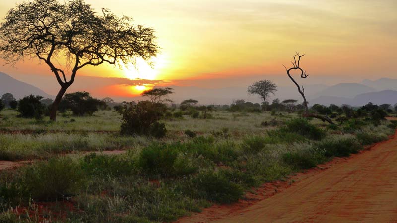 https://www.mandaley.fr/wp-content//2019/03/incontournables-au-kenya-mont-tsavo.jpg