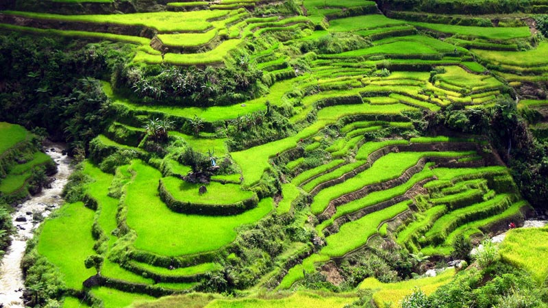 https://www.mandaley.fr/wp-content//rizieres-de-banaue-1.jpg