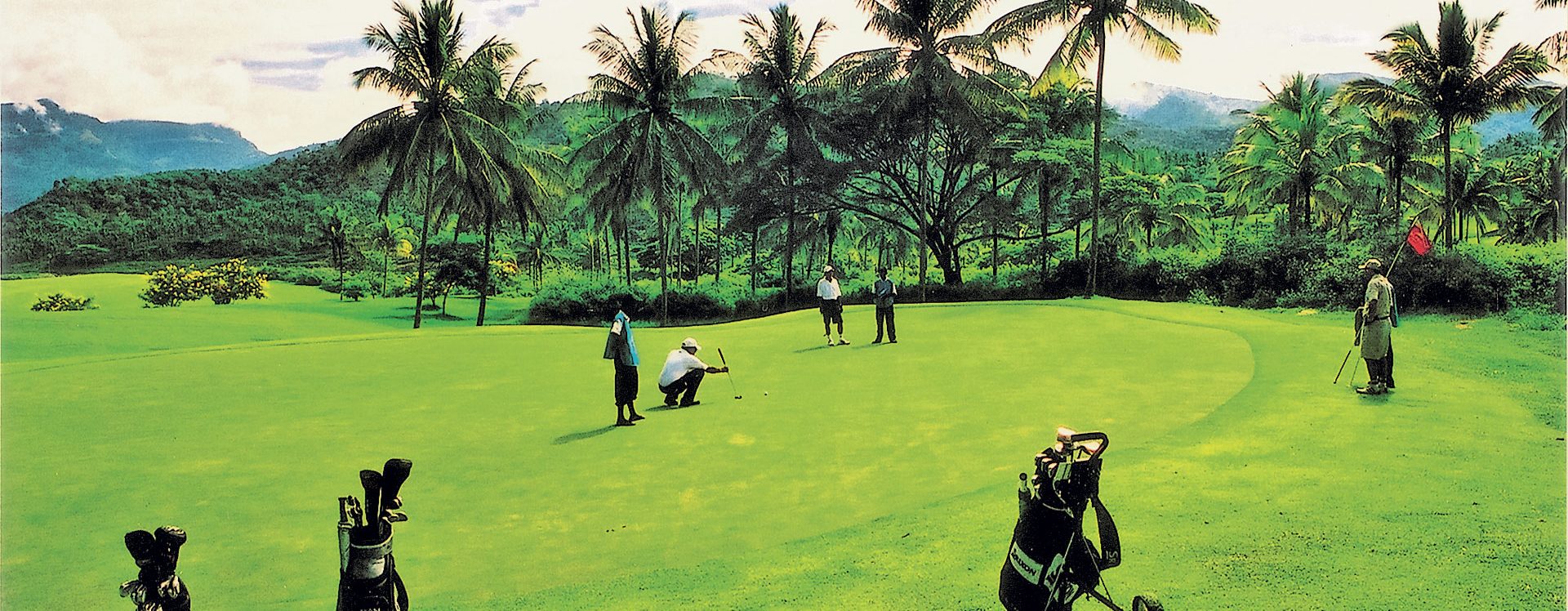 https://club.mandaley.fr/wp-content/uploads/2019/01/Cover-pictures-Golf-et-Hydravion-golf-2.jpg