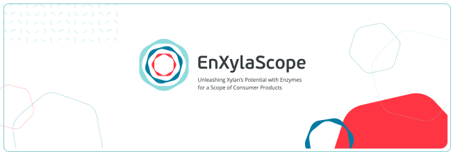 https://www.enxylascope.eu/newsletter/10022022/img-consumer.png