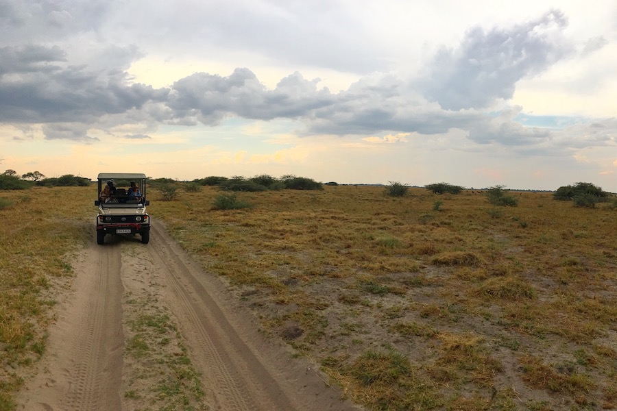 https://club.mandaley.fr/wp-content/uploads/2019/05/botswana-game-drive.jpeg