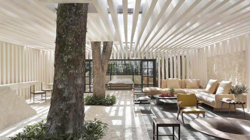 https://www.mandaley.fr/wp-content//2019/09/pepites-casa-sibipiruna1.jpg