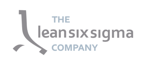 The lean sigma company min